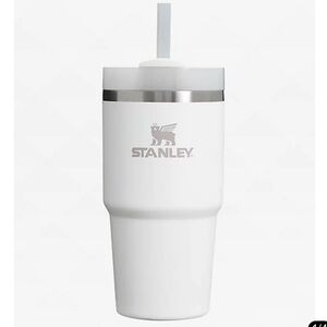 Stanley The Quencher H2.0 FlowState Frost Tumbler 20 oz